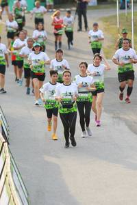 BIB: 
                            <button type="button" onclick="openModal(3539855)" class="btn btn-primary btn-sm float-right btn-popup" data-toggle="modal" data-target=".modal-high-quality">
                        <i class="fas fa-shopping-cart"></i> Add to Cart
                    </button>
                                            <button type="button" onclick="isThisMe(3539855, true)" class="btn btn-success btn-sm float-right btn-popup btn-isme hidden" data-toggle="tooltip" data-placement="bottom" title="นี่คือรูปของคุณใช่ไหม คลิกที่นี่เพื่อเอาเข้าอัลบั้ม">
                        <i class="fas fa-plus"></i> Add to album
                    </button>
                    <button type="button" onclick="isThisMe(3539855, false)" class="btn btn-warning btn-sm float-right btn-popup btn-isnotme hidden">
                        <i class="fas fa-ban"></i> Remove from album
                    </button>